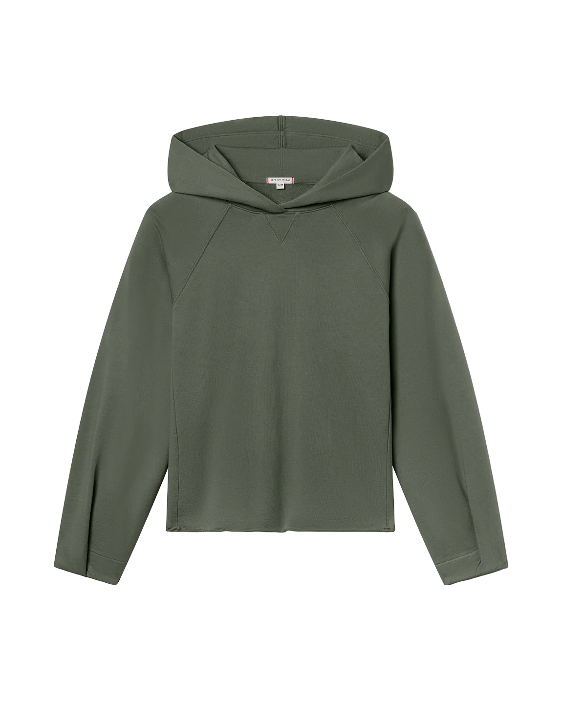 Gameday Hoodie - Agave - Image 7